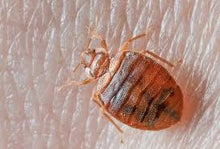 Load image into Gallery viewer, Pro Home Pest Control
